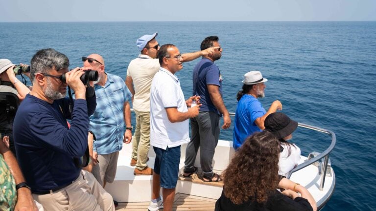 Community and Conservation: GU-Q Staff Explore the Whale Sharks of Qatar